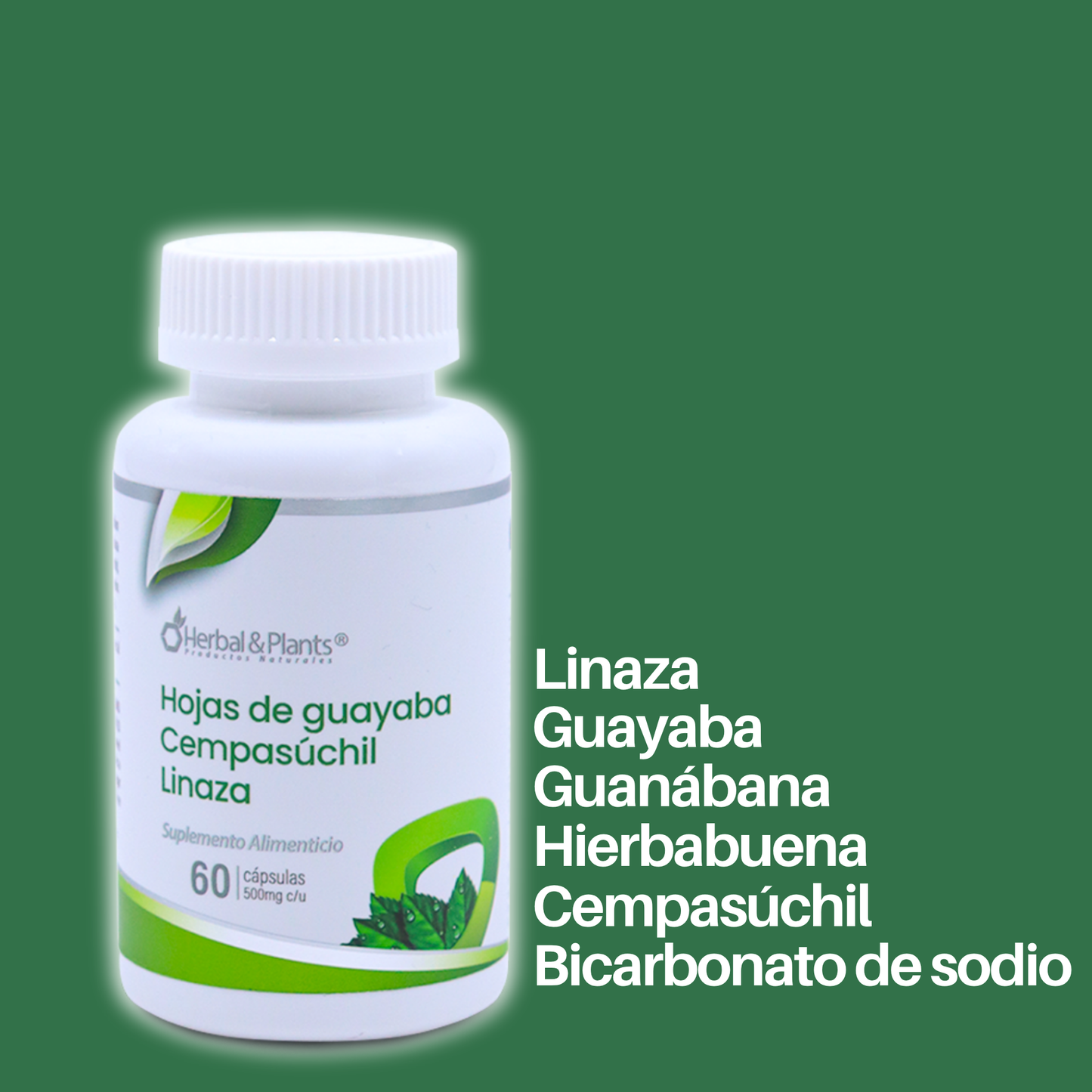 Hojas de guayaba