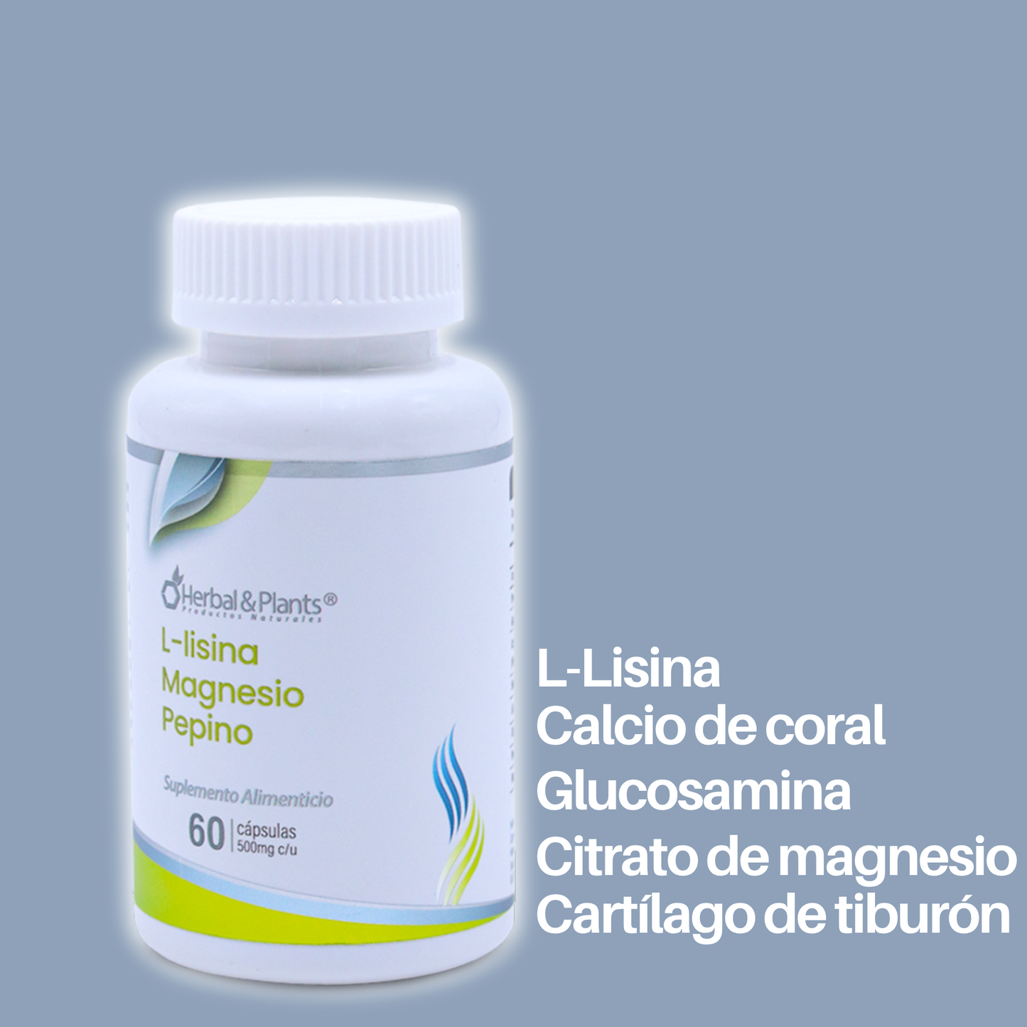 L-lisina