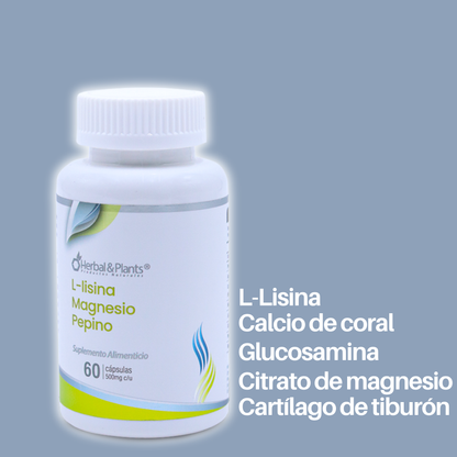 L-lisina
