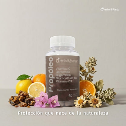 Propóleo