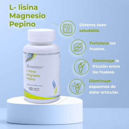 L-lisina