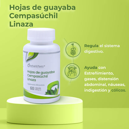 Hojas de guayaba